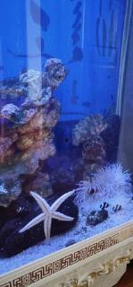 海钓视频大全冰岛,探索极地海洋的奥秘之旅