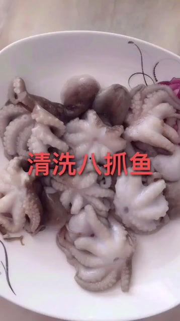 八爪鱼制作视频